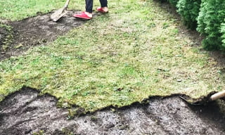 Снятие дерна старого газона в Торжке – от 525 руб. | 2Землекопа-Трж